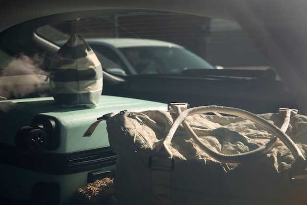 Почему первый автомобиль считается революцией в транспорте?
