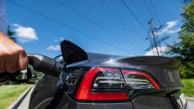 Гарантия и ответственность производителя