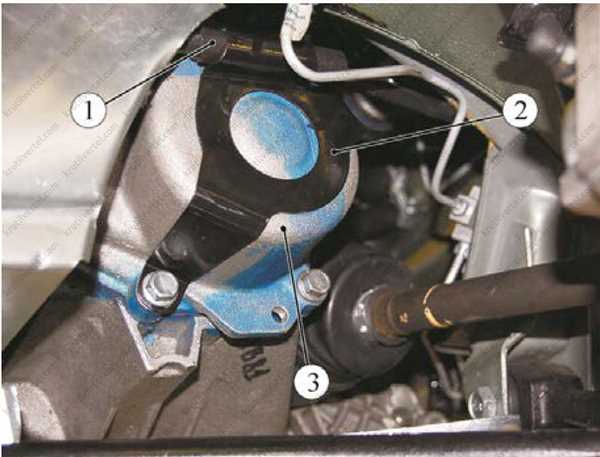 3.