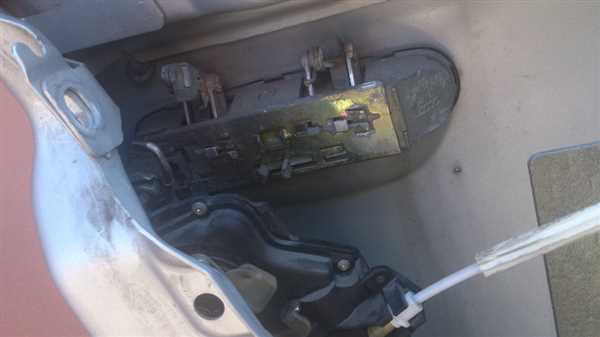 Ослабевшие