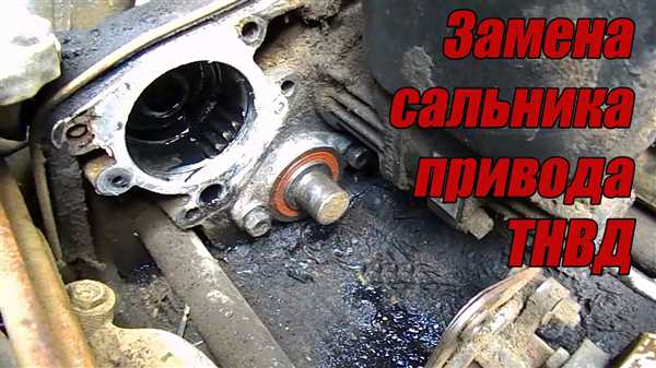 Необходимые